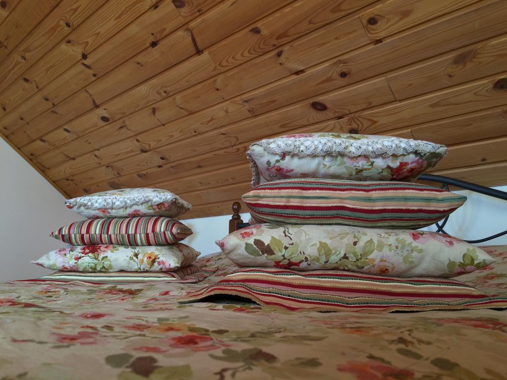 U Pokrovki Guest House Pskov Luaran gambar